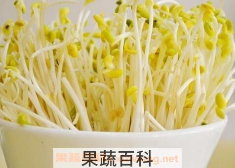 绿豆芽的营养价值 吃绿豆芽的好处