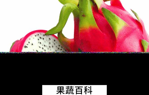 果蔬百科吃火龙果要注意什么
