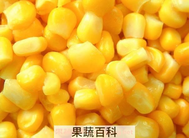 玉米粒