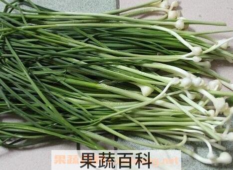 水胡葱的功效与作用