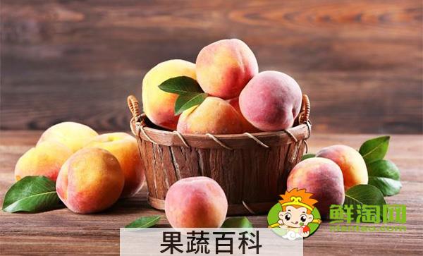 桃子酒好喝吗，桃子酒的制作方法窍门