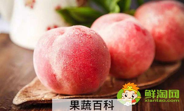 桃子酒好喝吗，桃子酒的制作方法窍门