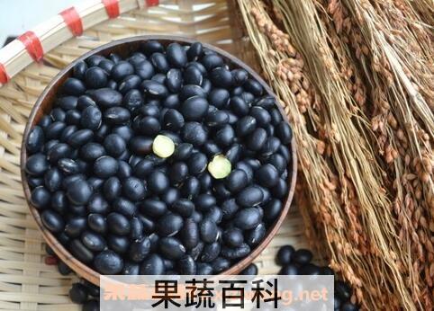 黑豆怎么吃最好 常见黑豆的吃法技巧