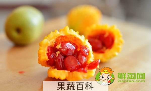  金铃子果肉可以吃吗，金铃子怎么保存