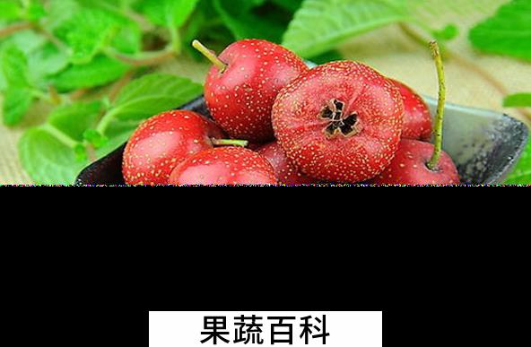 果蔬百科山楂不能和什么一起吃