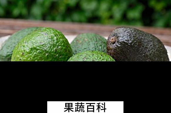 果蔬百科吃牛油果的好处