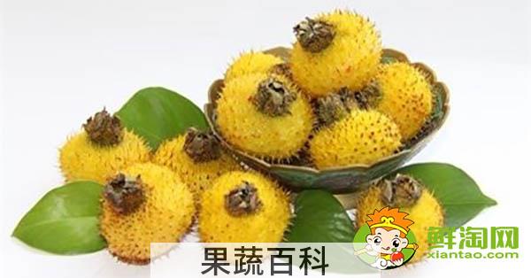 刺梨干多少钱一斤，干刺梨的保质期多长