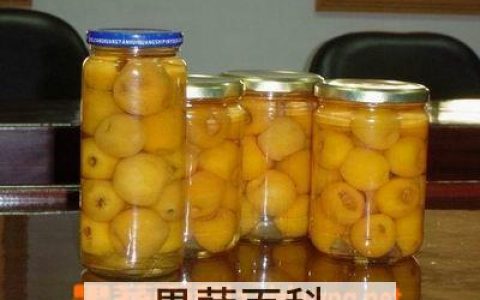 自己做枇杷罐头怎么做 自制枇杷罐头怎么做窍门