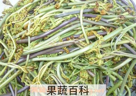 龙爪菜的营养价值和禁忌