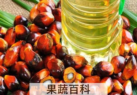 棕榈油的好处 棕榈油炸东西的好处