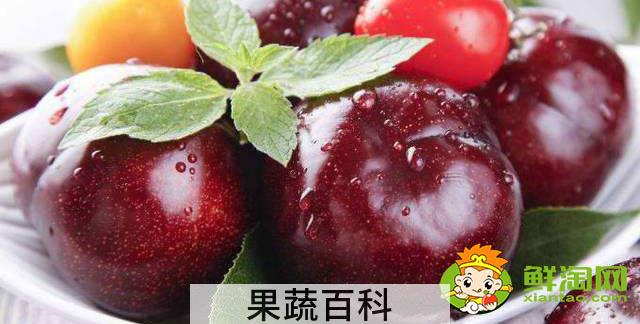 黑布林怎么做果汁，黑布林罐头怎么做
