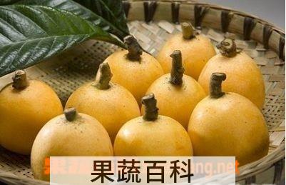 果蔬百科月经期可以吃枇杷吗 月经期能不能吃枇杷