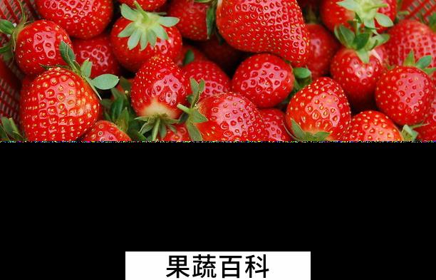 果蔬百科吃草莓要注意什么