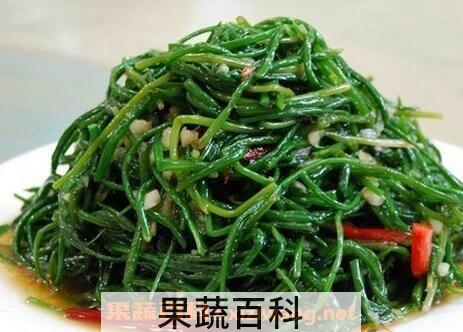亮杆菜的药用价值