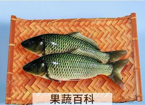 鲤鱼皮的功效与作用