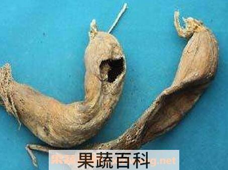 枯萝卜水的功效与作用