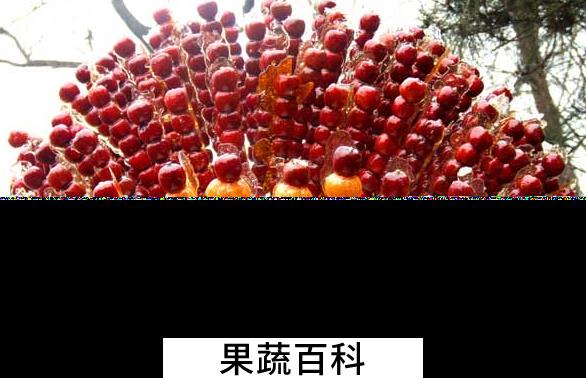果蔬百科冰糖葫芦怎么做
