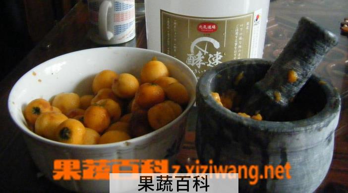 果蔬百科怎样做枇杷酵素