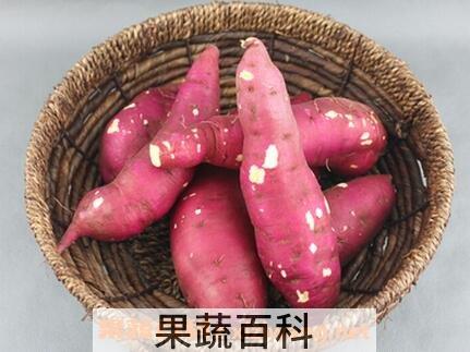 板栗红薯食用方法和功效