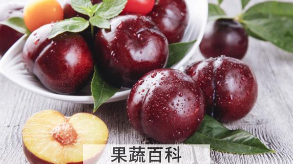 黑布林是红的好还是黑的好，黑布林果酱可以保存多久