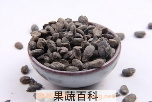  淡豆豉的功效与作用