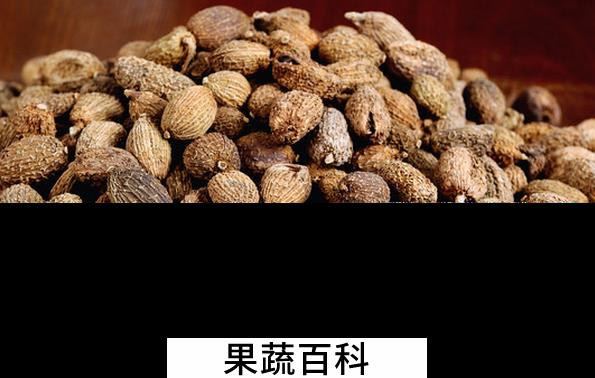 果蔬百科砂仁怎么吃好