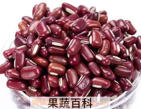 赤小豆的功效与作用