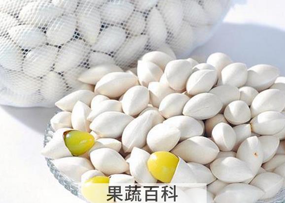 果蔬百科白果是什么