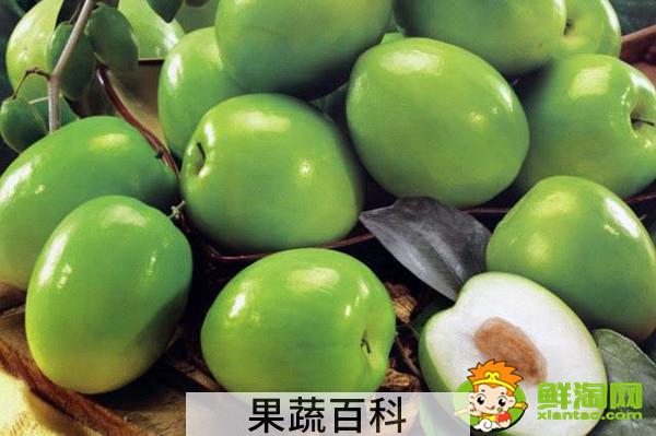 青枣是哪个地方产的，全国青枣哪个地方最多