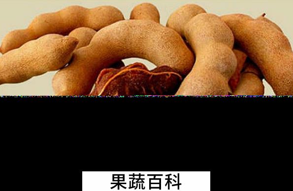 果蔬百科酸角怎么吃