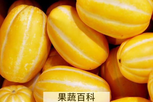 果蔬百科香瓜的营养价值与功效
