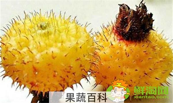 可以用新鲜刺梨泡水喝吗，刺梨泡水的制作方法