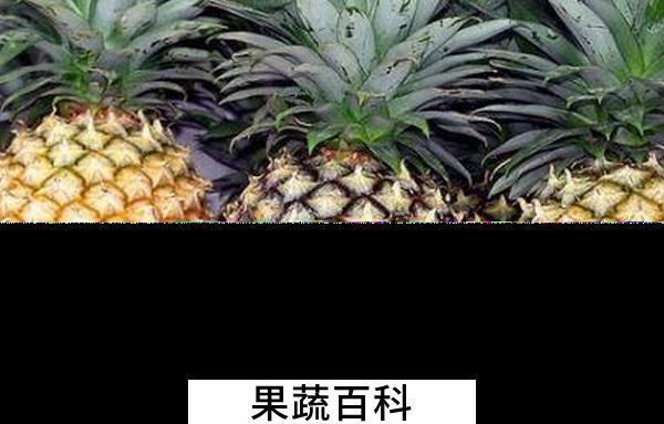 果蔬百科凤梨的功效与作用