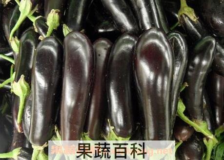 新鲜茄子存放如何不烂 新鲜茄子保存方法