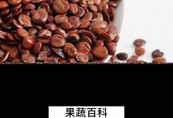 果蔬百科酸枣仁的食用方法