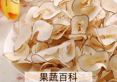 海底椰的功效与作用