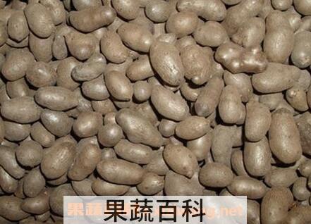 山药豆的功效与作用及禁忌