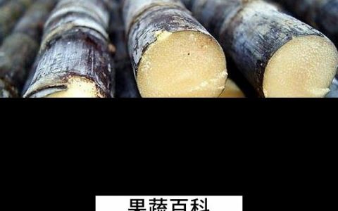 甘蔗的营养和作用 甘蔗的营养价值与作用