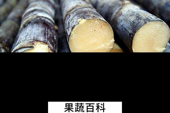 果蔬百科甘蔗的营养价值