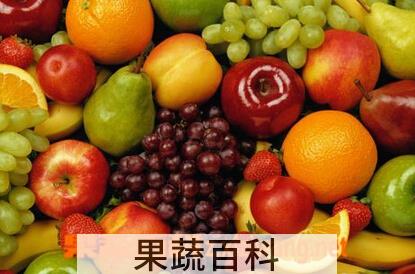 果蔬百科脾胃不好吃什么水果