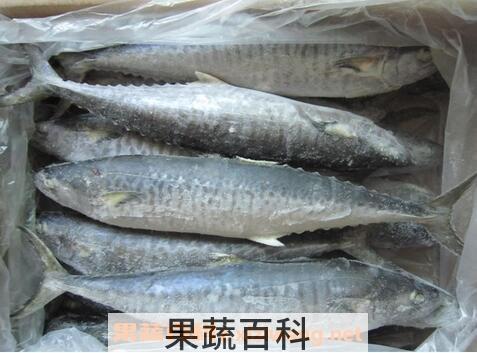 吃马鲛鱼的作用