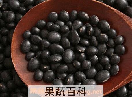 黑豆的功效与作用及食用方法