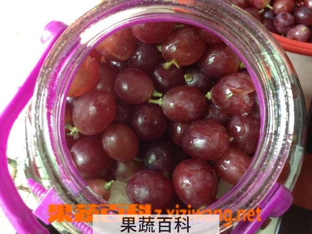 果蔬百科怎样用绿提子制作酒