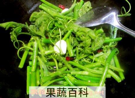 新鲜南瓜藤的功效与作用及食用方法