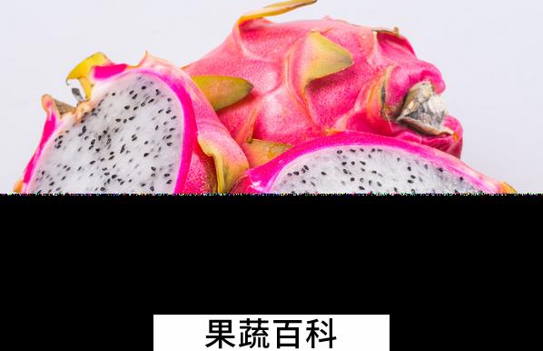 果蔬百科怎么挑选火龙果