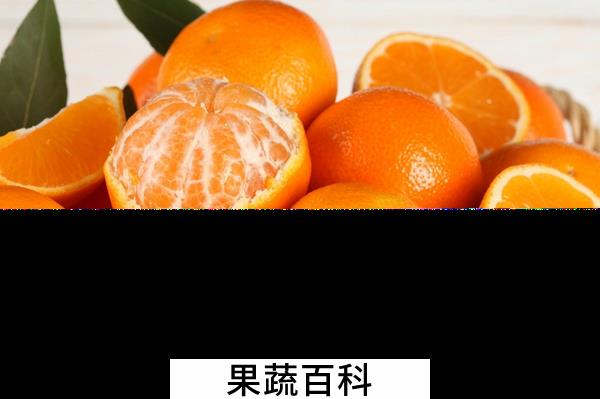 果蔬百科吃桔子要注意些什么