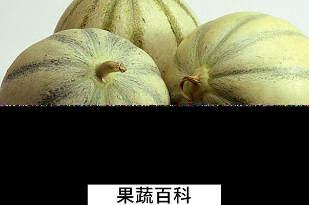 果蔬百科白兰瓜的功效与作用