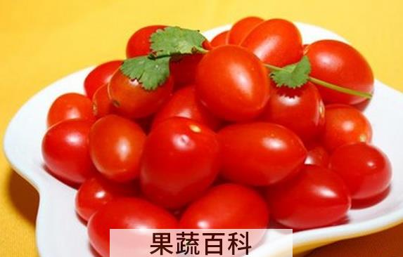 果蔬百科孕妇能吃圣女果吗