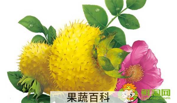 野生刺梨泡酒怎么泡好吃，刺梨泡酒怎么泡要加糖吗