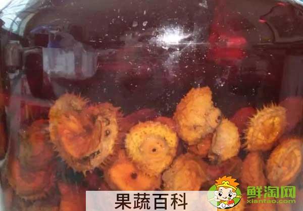 野生刺梨泡酒怎么泡好吃，刺梨泡酒怎么泡要加糖吗